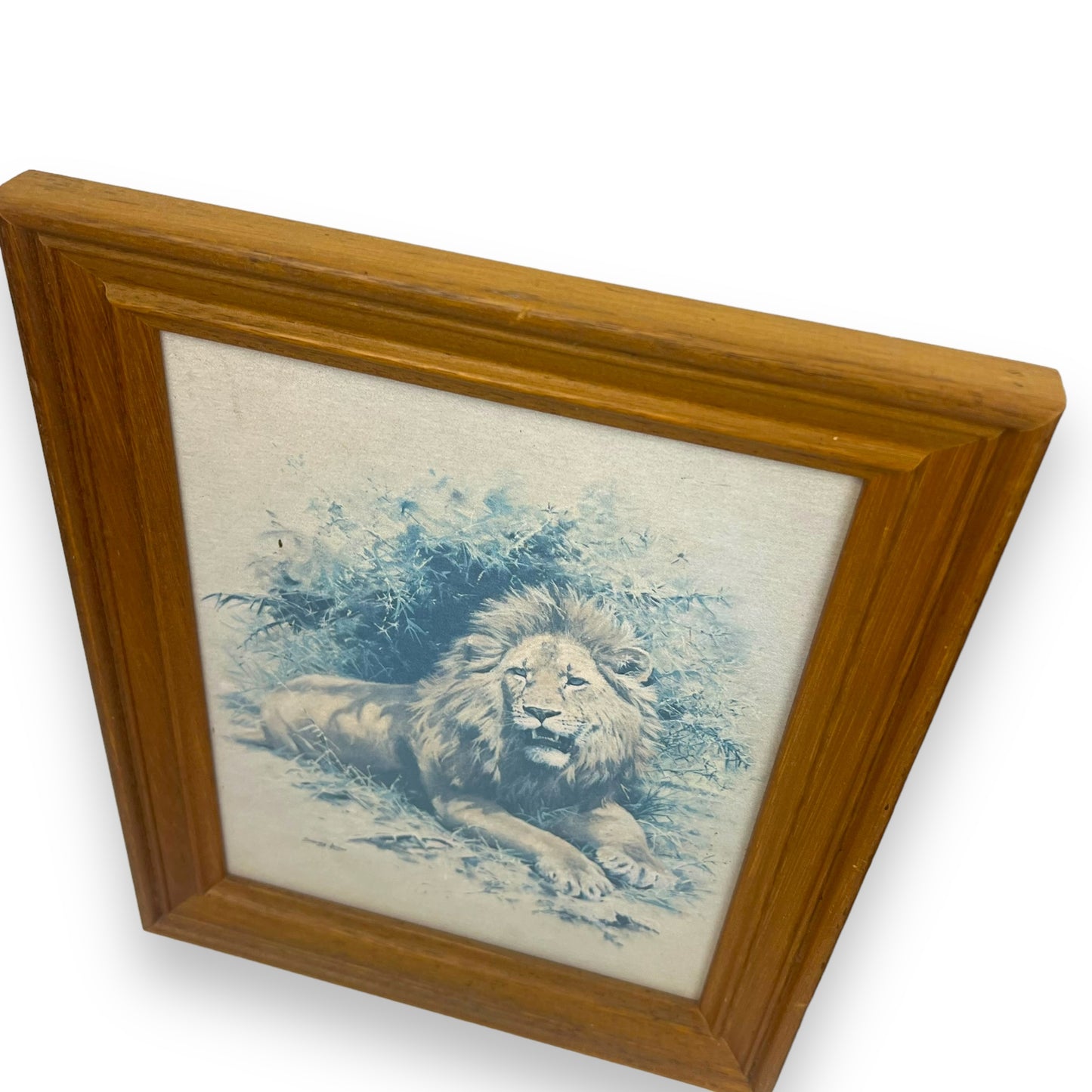 Lion & Tiger Print Set in wooden frame