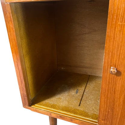 Teak Veneer Record Storage Cabinet