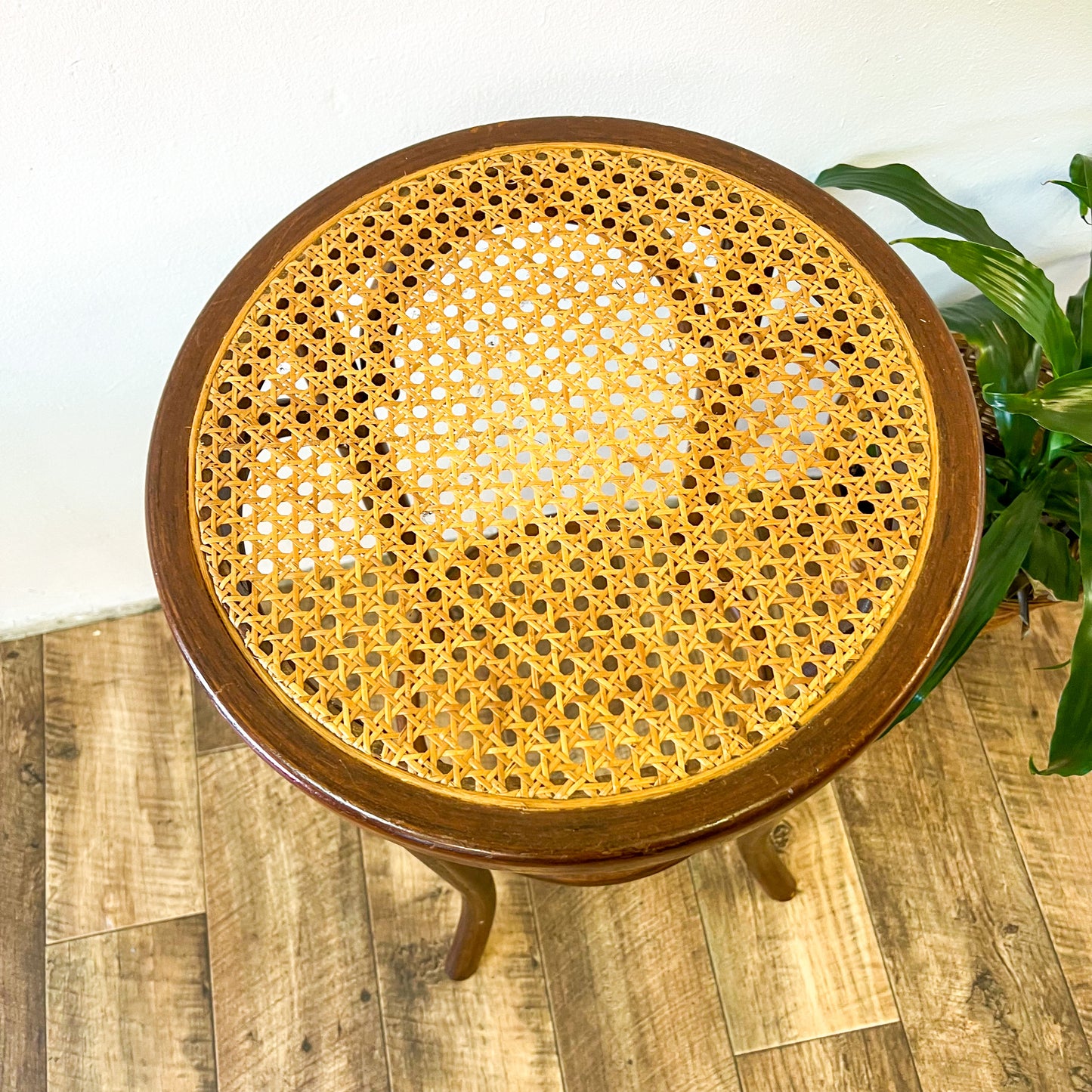 Rattan Bentwood Dark Timber Stool