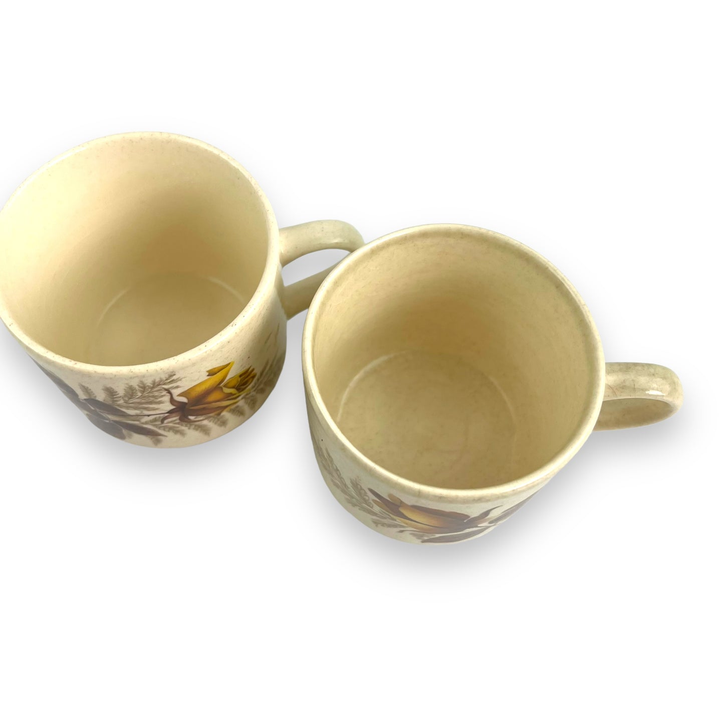 Johnson Yellow Rose Teacup set of 2
