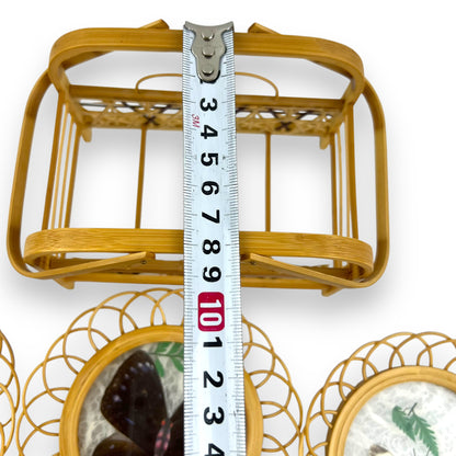 Cane Butterfly Coaster Set of 6 with carry case