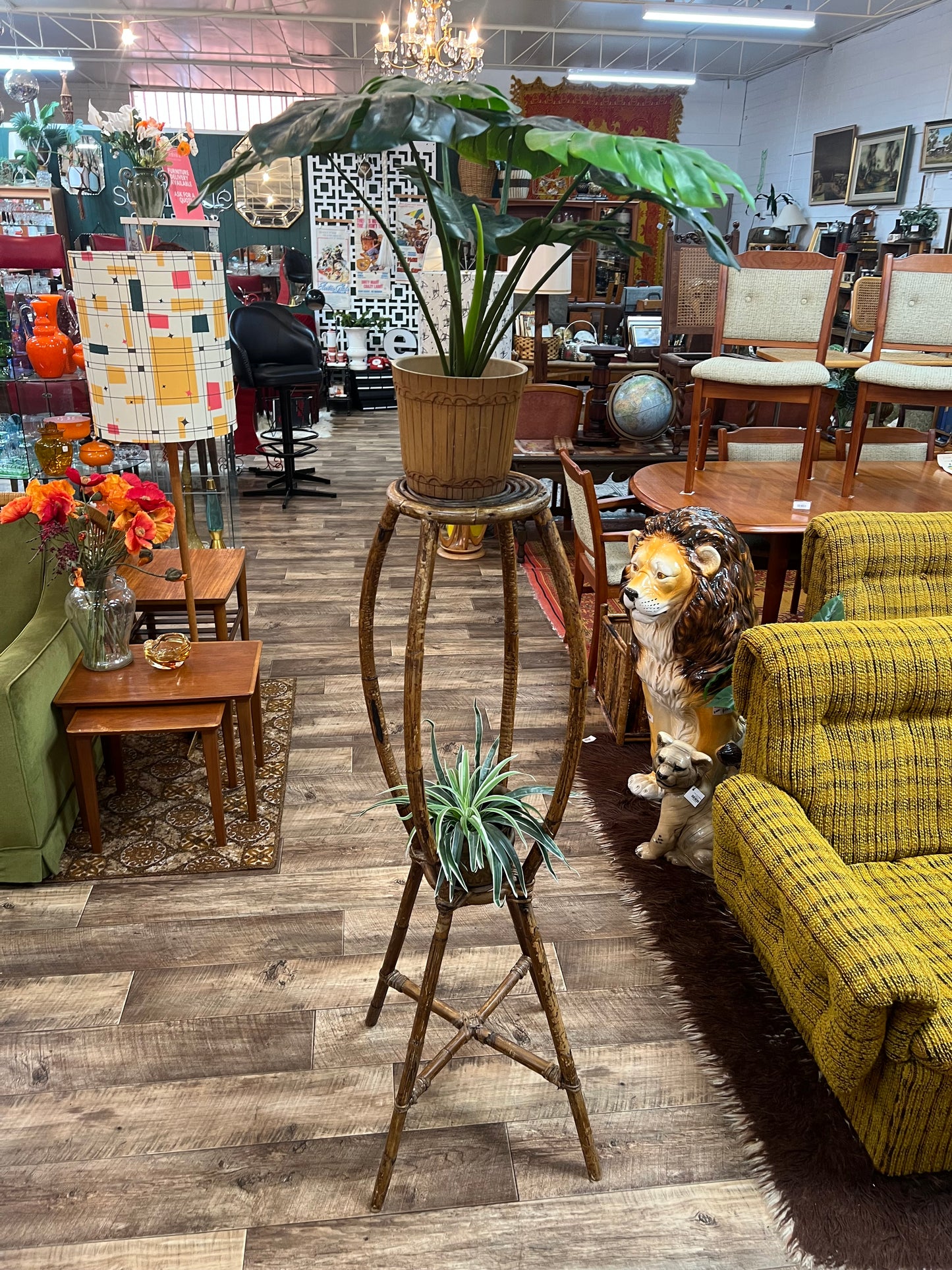 Cane Plant Stand