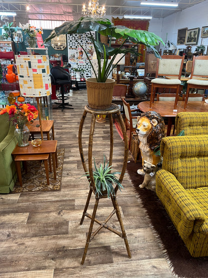 Cane Plant Stand