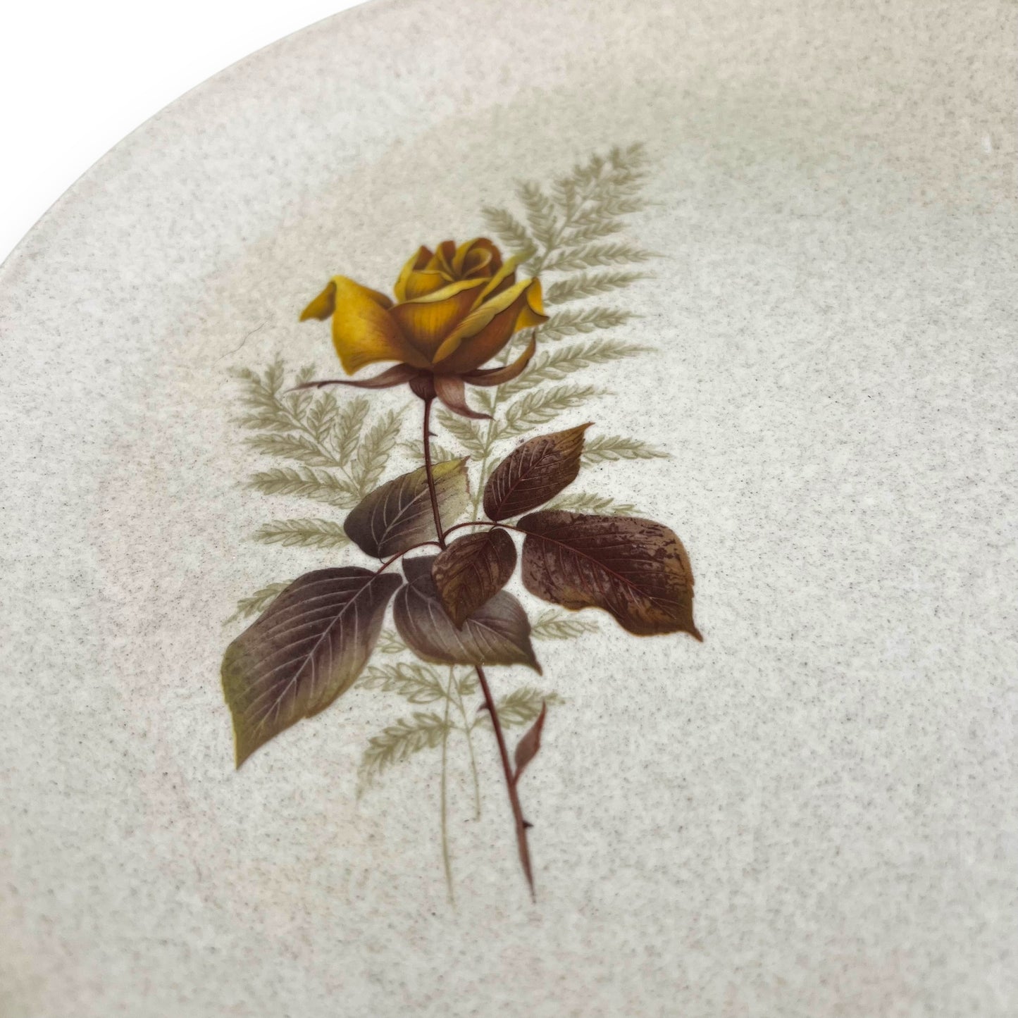Johnson Australia Yellow Rose Dinner Plate