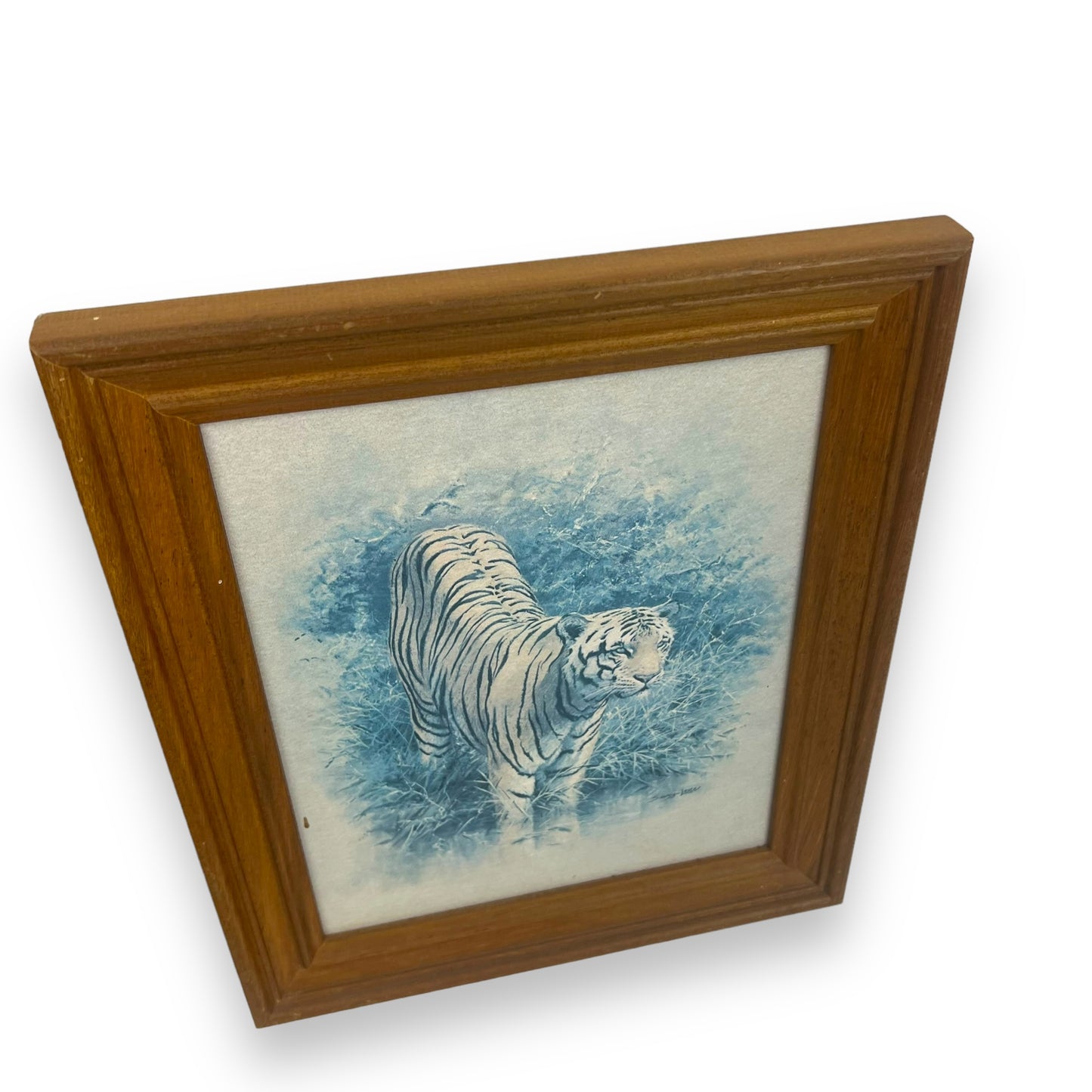 Lion & Tiger Print Set in wooden frame