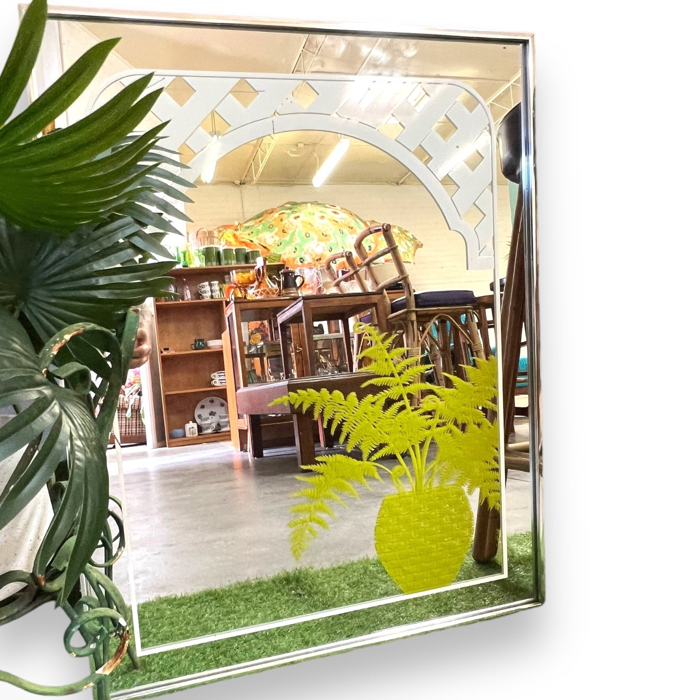 Gloria Eriksen Fern Print Mirror Artwork