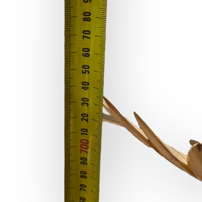 Hand-Carved Wooden Eagle Sculpture — Large Timber Carving