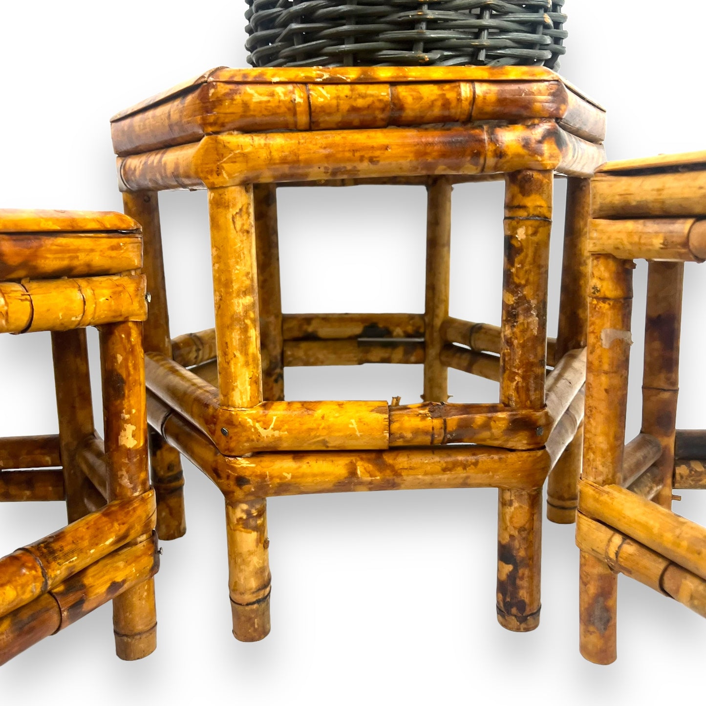 Hexagon Plant Stand Set x3 Tortoiseshell Cane