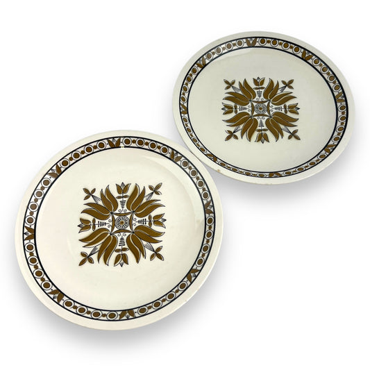 Mikasa Cera-Stone Dinner Plates - Centre Point D804 - Set of 2