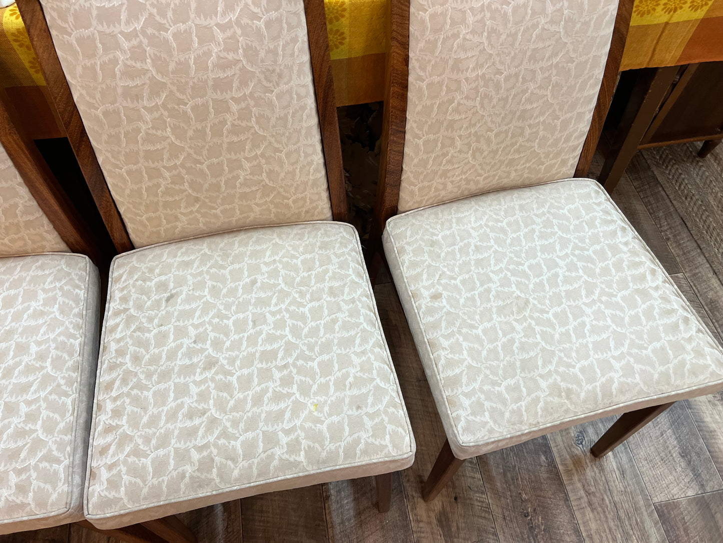 Rosando Mid-Century Queensland Blackbean Dining Chairs