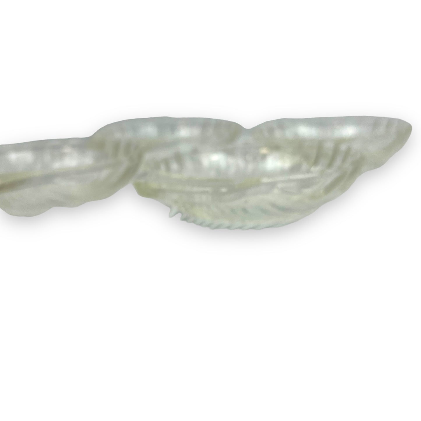 Glass Shell Dish x4 Agee Pyrex