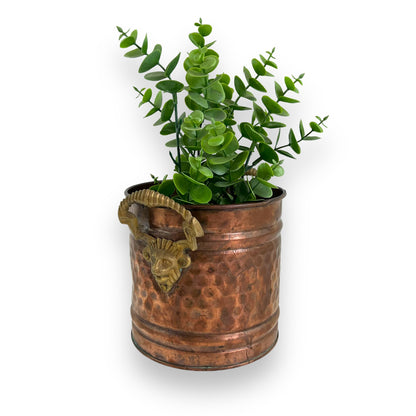 Brass and copper lion head plant pot