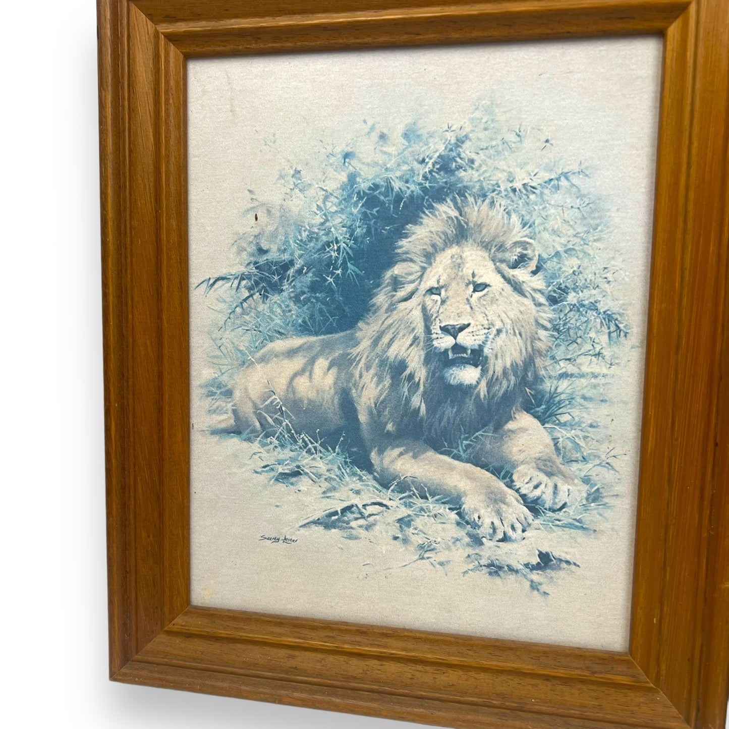 Lion & Tiger Print Set in wooden frame