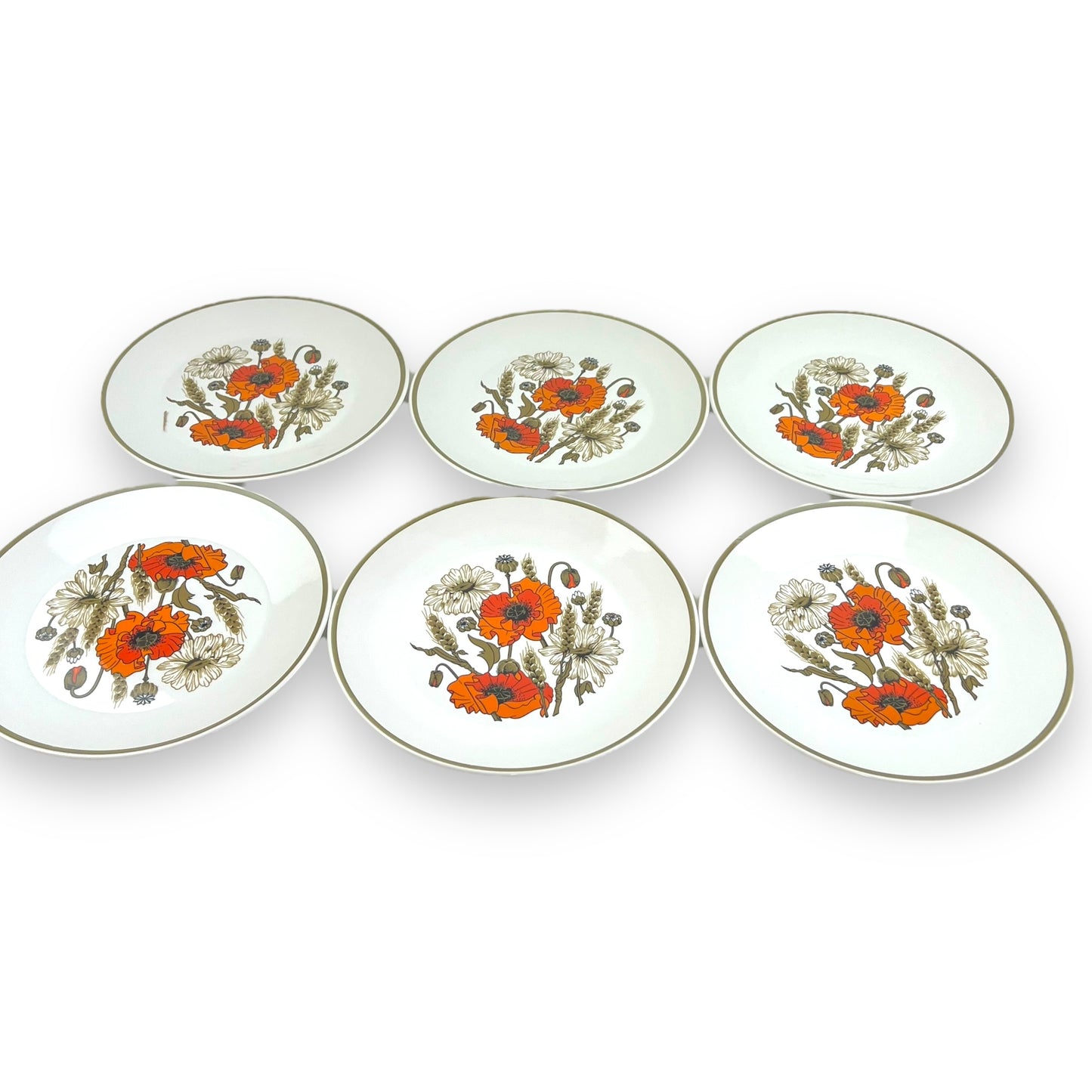 J & G Meakin “Poppy” Dinner Plate set of 6