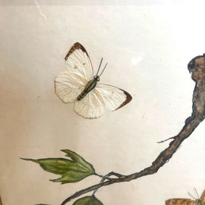 Large Framed Butterfly & Tree Artwork with Real Butterfly Wings — Signed M. Ginsberg, 1982