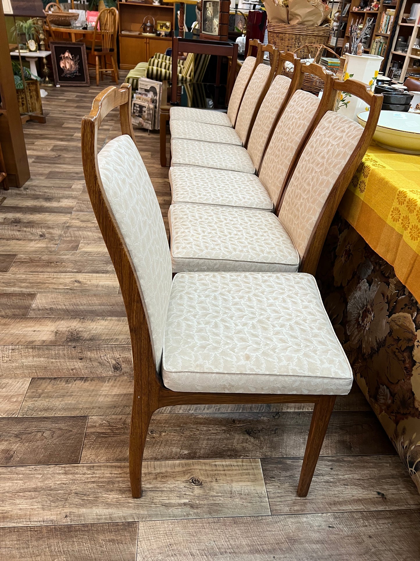Rosando Mid-Century Queensland Blackbean Dining Chairs