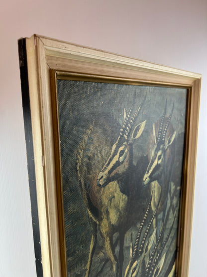Keith Shackleton – Gazelle Vintage Framed Art Print