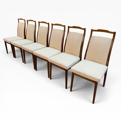Rosando Mid-Century Queensland Blackbean Dining Chairs