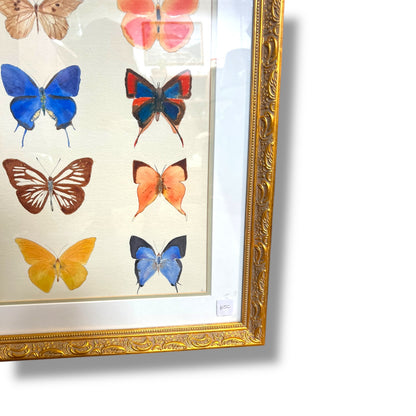 Framed Original Butterfly Watercolour Painting