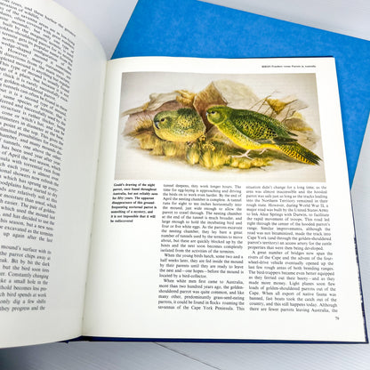 Blue Hard Cover Book Bundle
