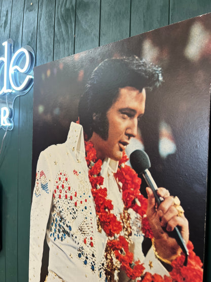 Elvis Presley Concert Photo Print on Board