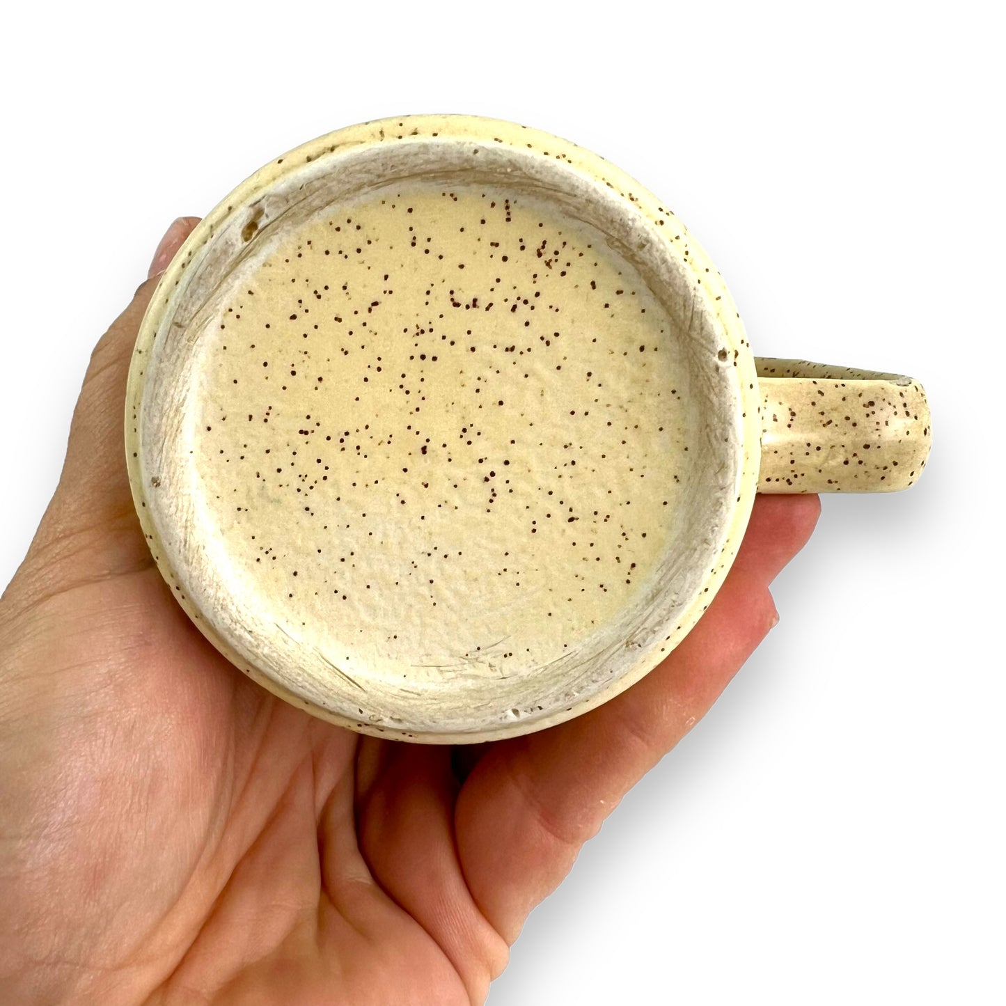 Monkey Mia Western Australia Dolphin Mug