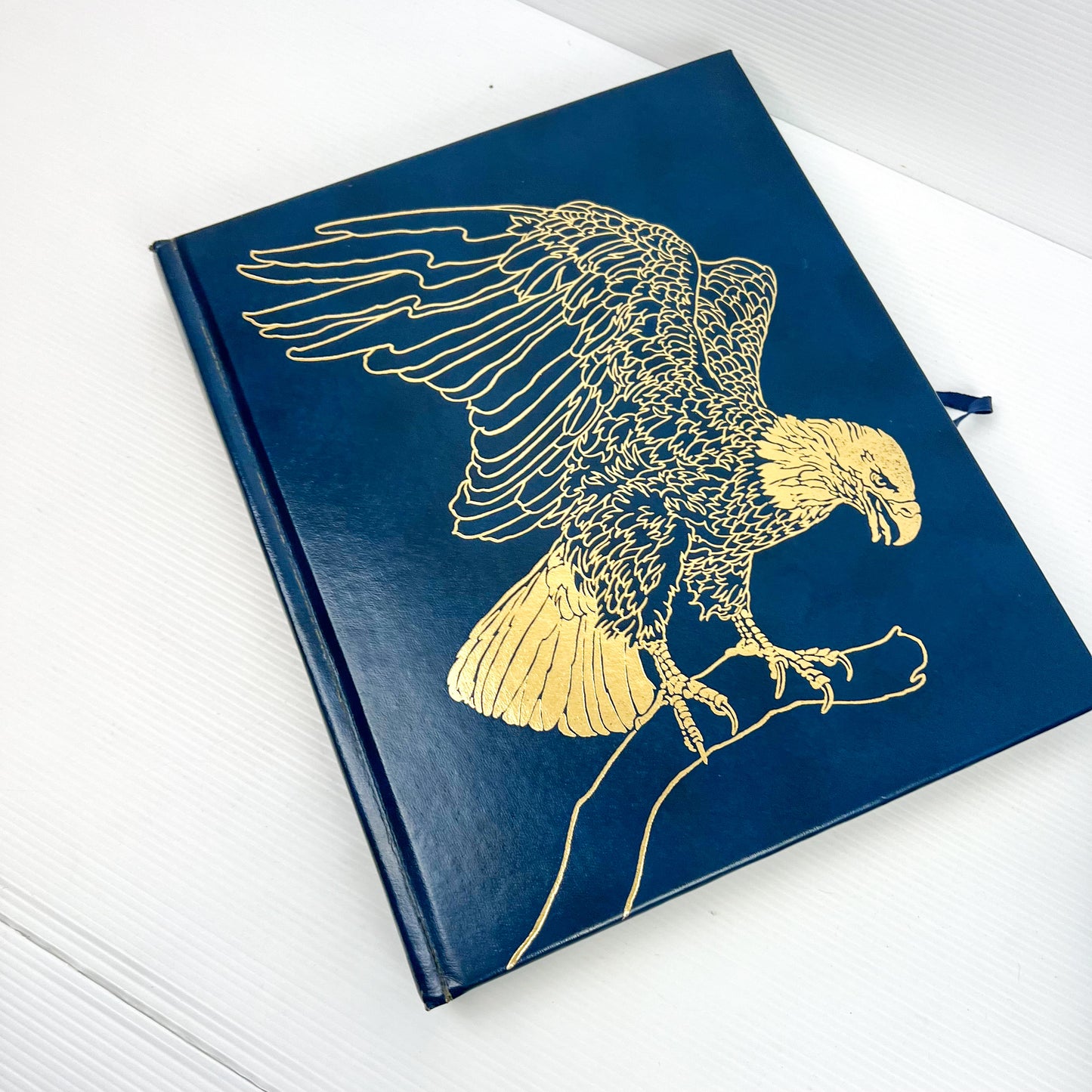 Blue Hard Cover Book Bundle