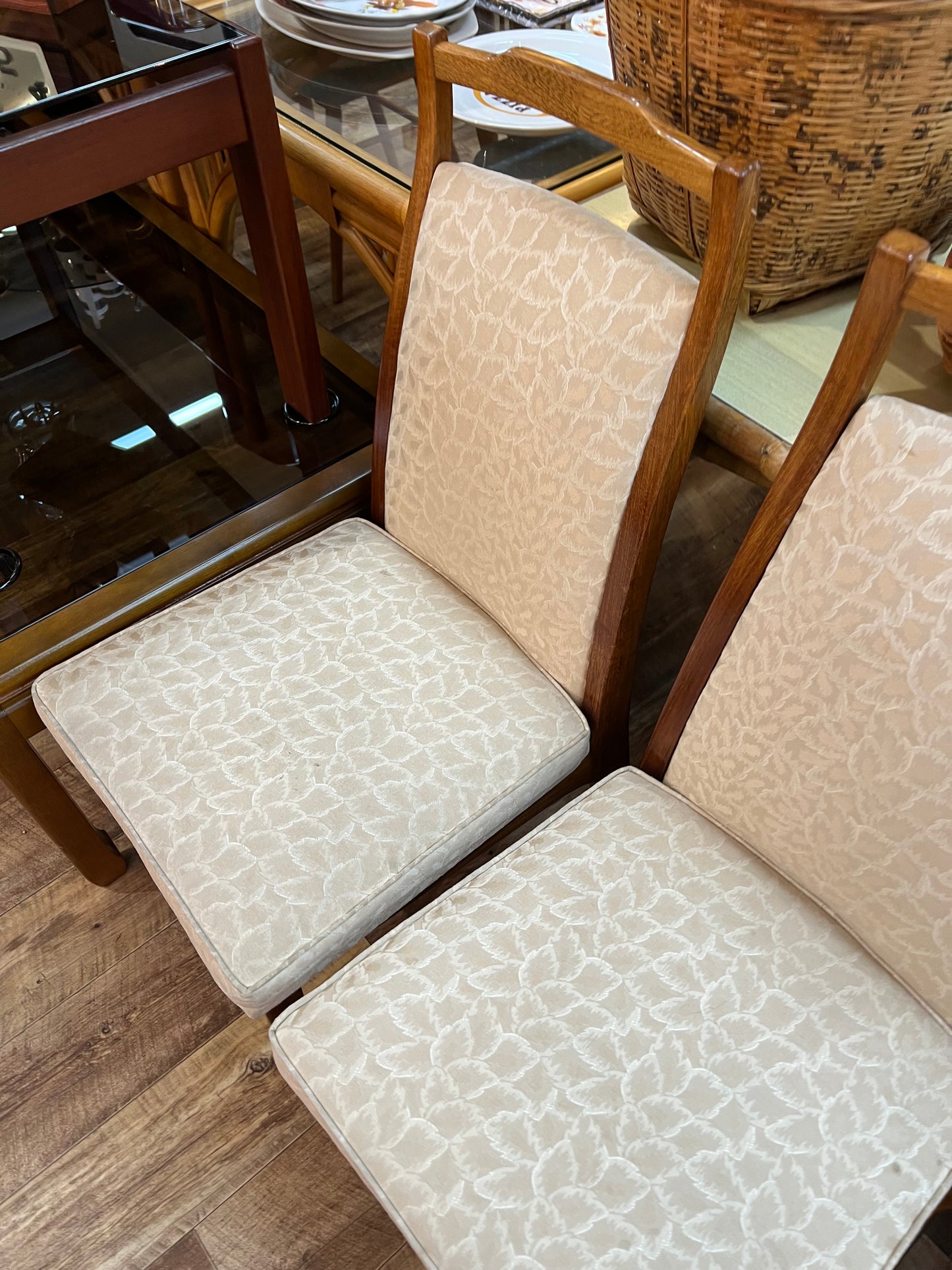 Rosando Mid-Century Queensland Blackbean Dining Chairs