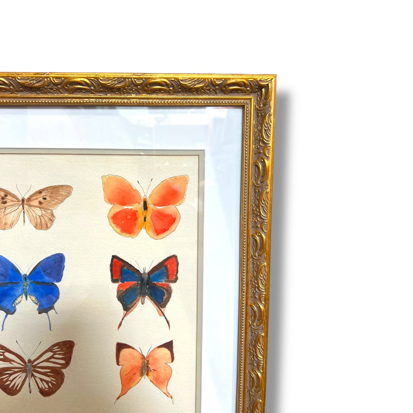 Framed Original Butterfly Watercolour Painting
