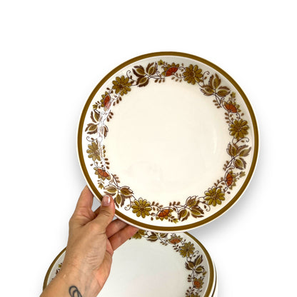 Mikasa "Eastwood D1874" Cera-Stone Dinner Plates – Set of 6, Made in Japan