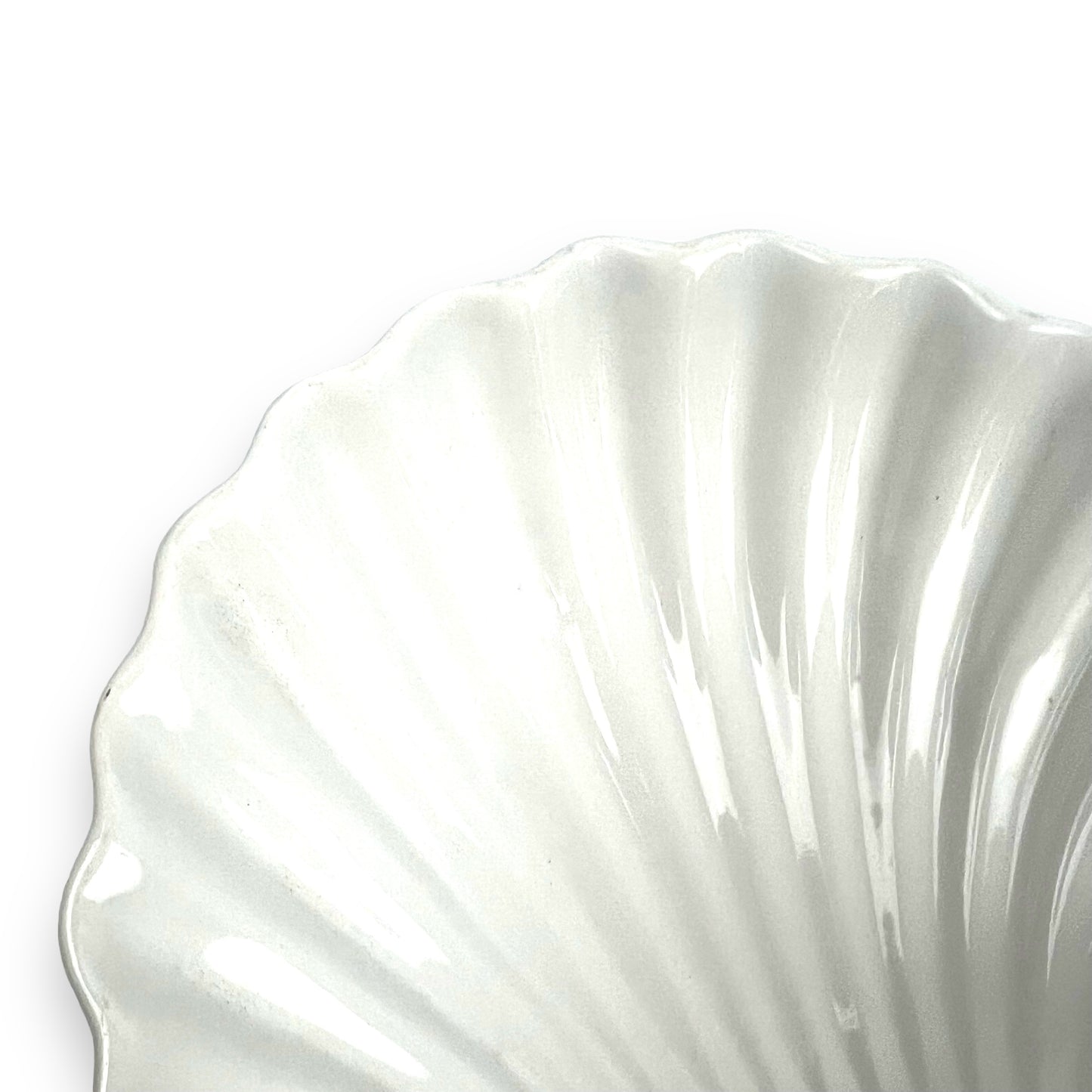 White shell bowl/trinket dish