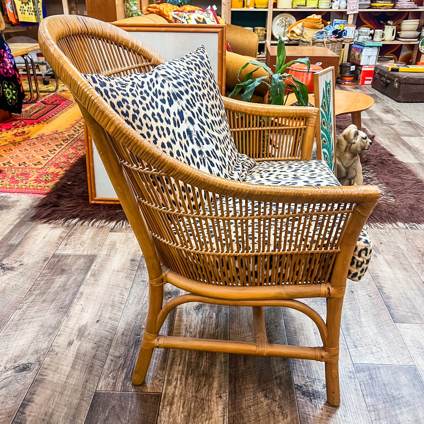 Cane Chair Leopard Cushions