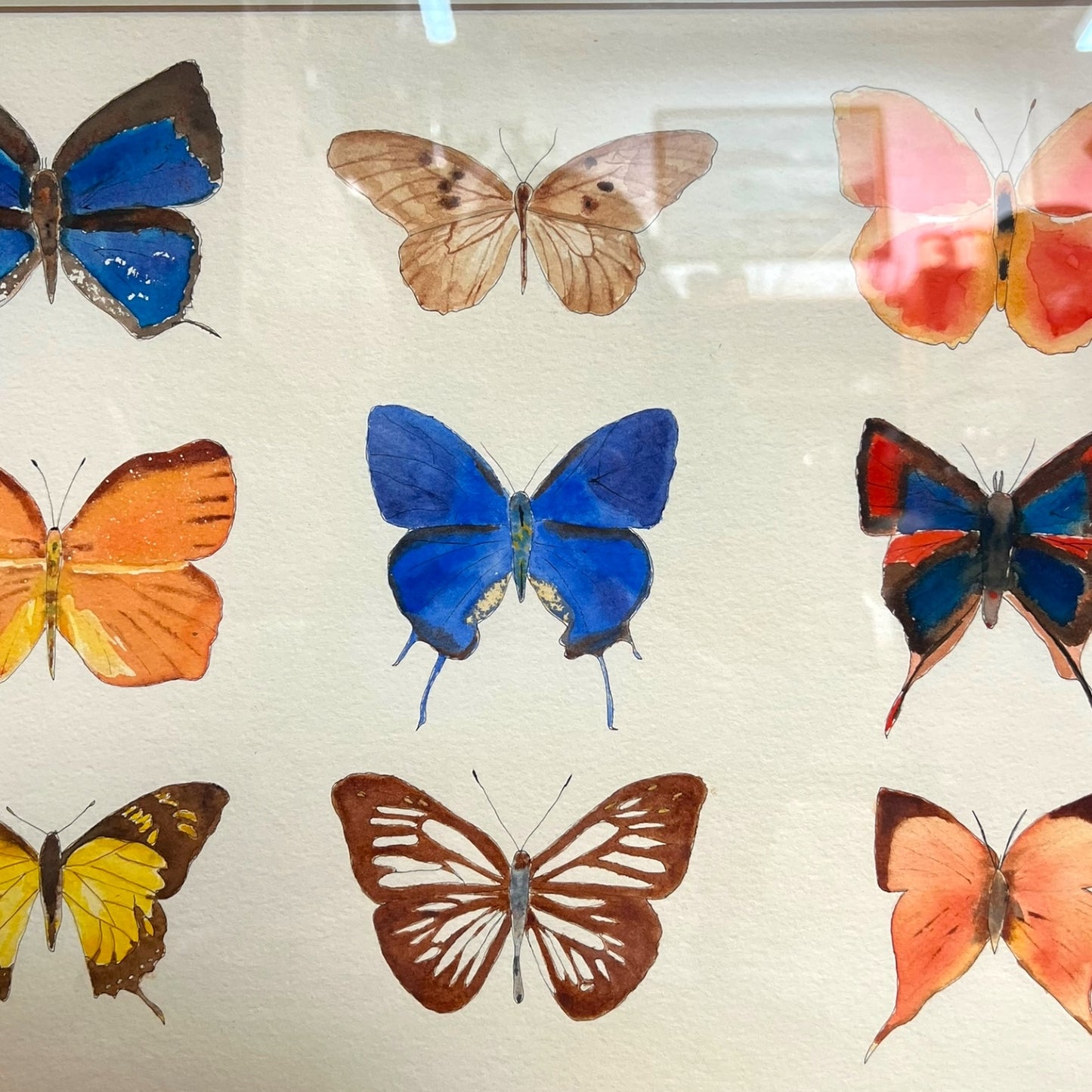 Framed Original Butterfly Watercolour Painting