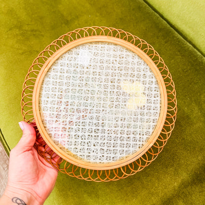 Butterfly Display Plate with Glass Front