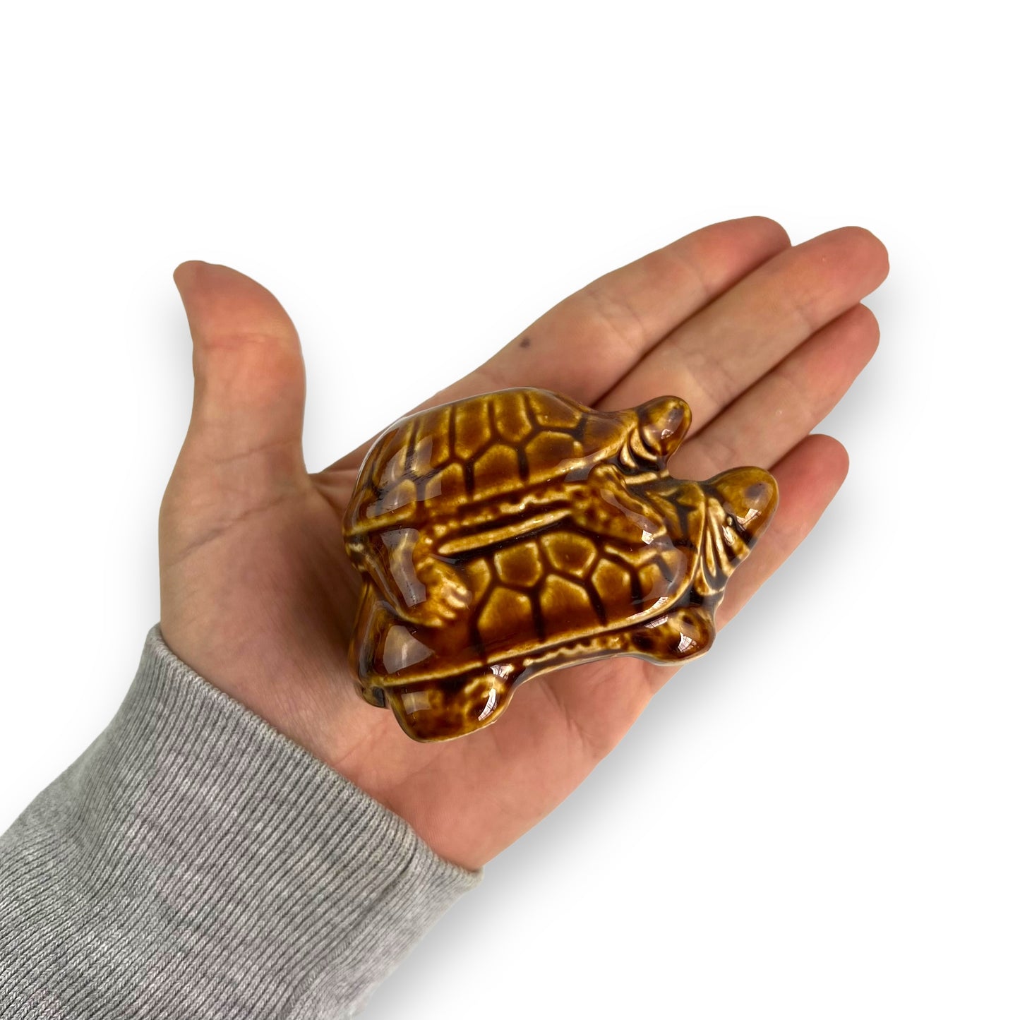 Brown Turtles Toothpick Holder