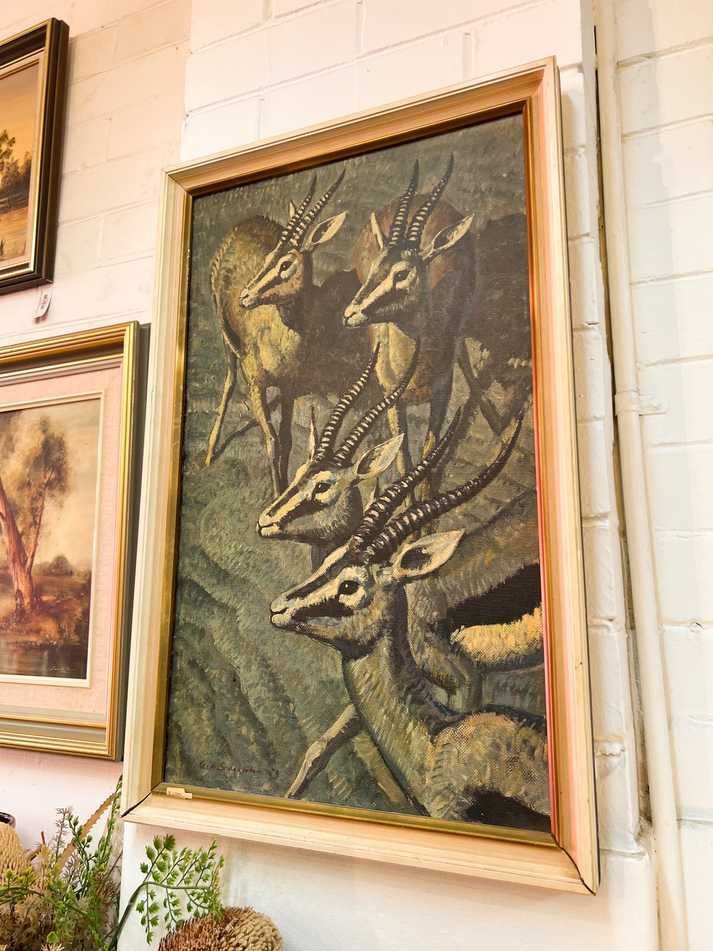 Keith Shackleton – Gazelle Vintage Framed Art Print