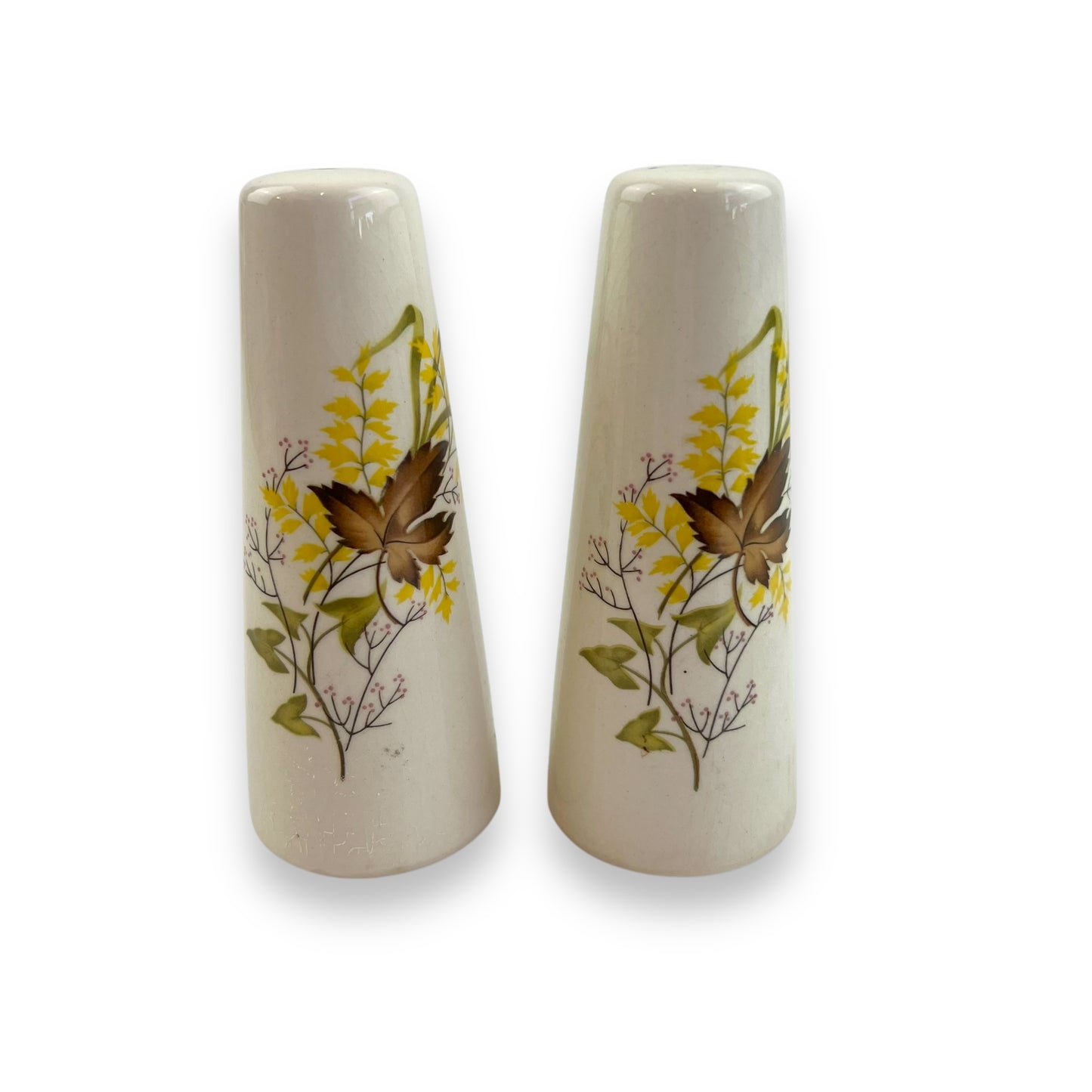 Brown Leaf with yellow flower salt and pepper shaker set