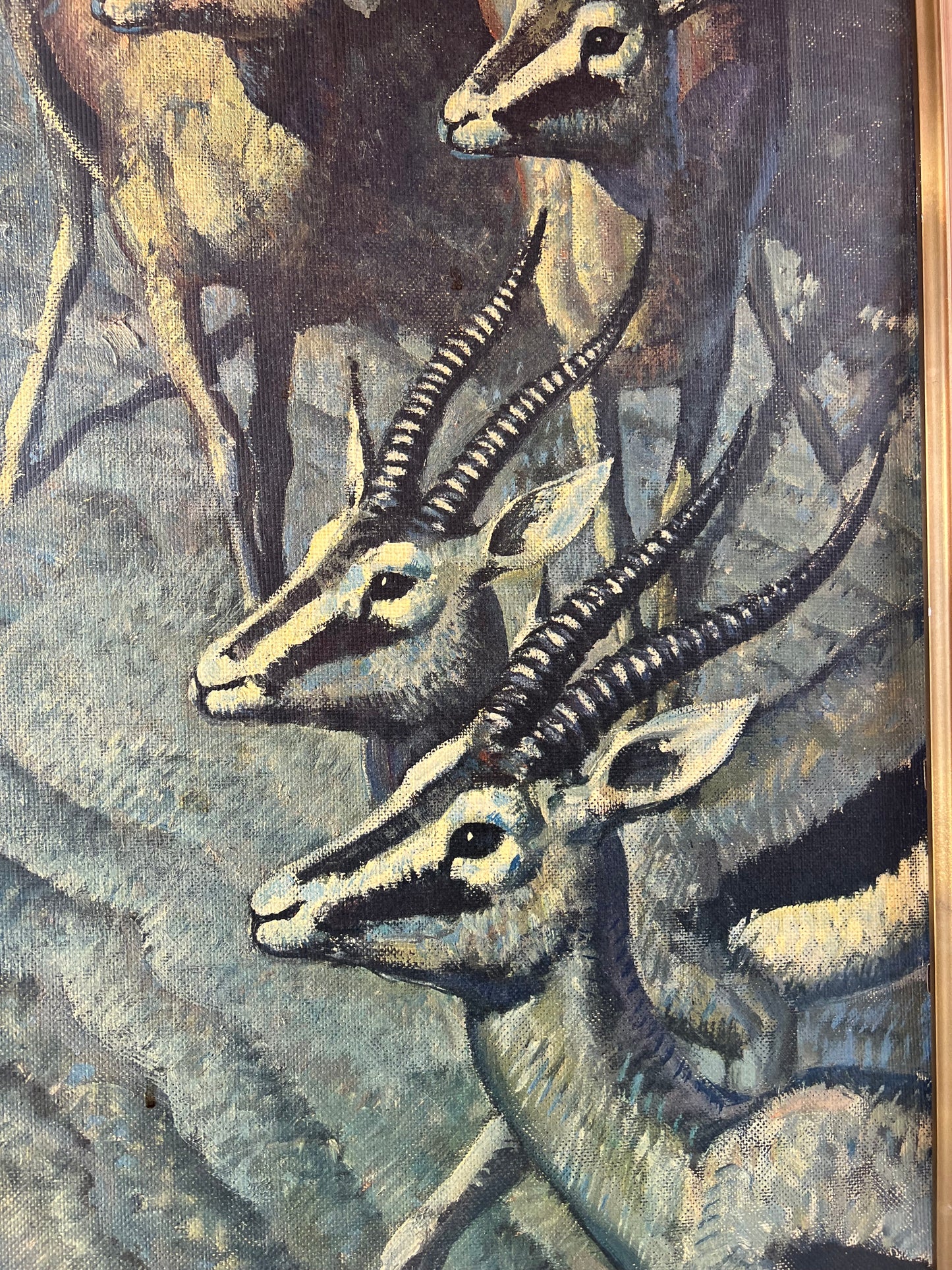 Keith Shackleton – Gazelle Vintage Framed Art Print