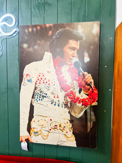 Elvis Presley Concert Photo Print on Board