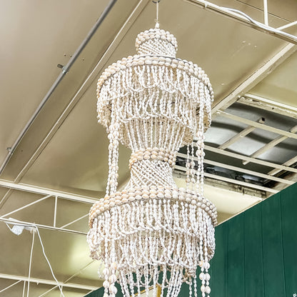 Large Shell Chandelier