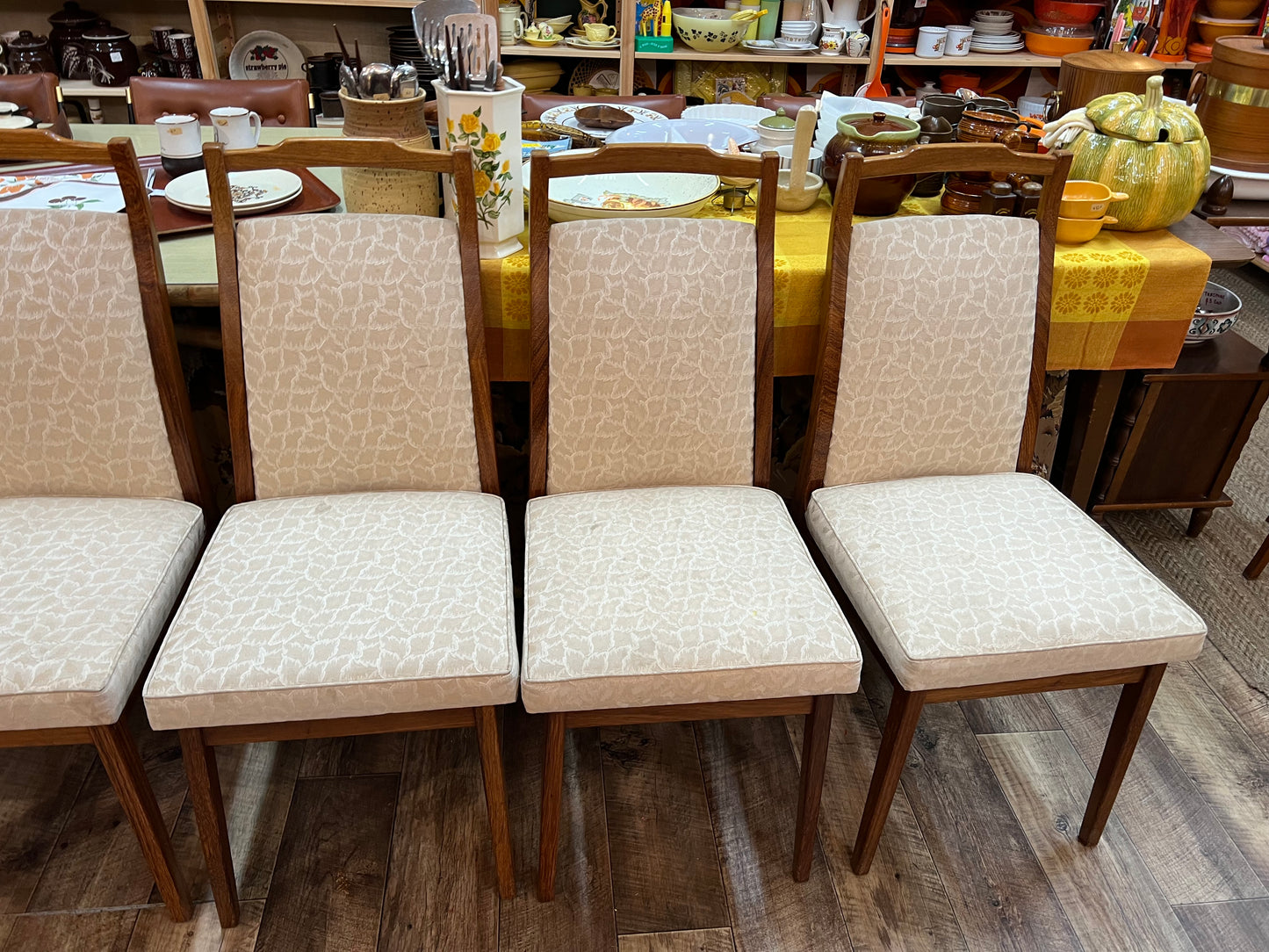 Rosando Mid-Century Queensland Blackbean Dining Chairs