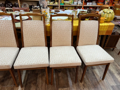 Rosando Mid-Century Queensland Blackbean Dining Chairs