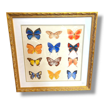 Framed Original Butterfly Watercolour Painting