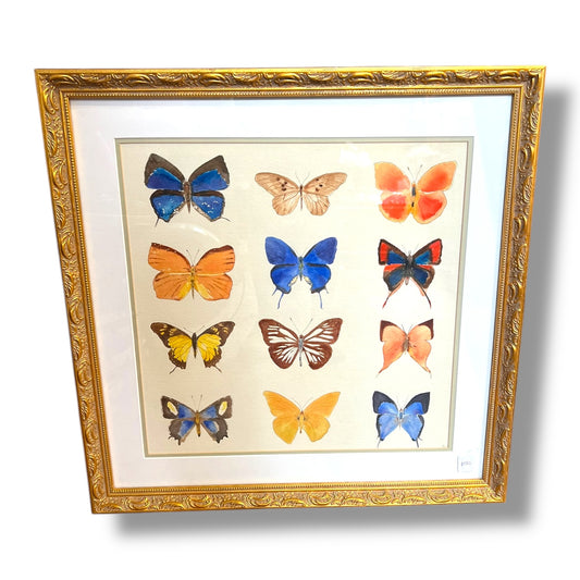 Framed Original Butterfly Watercolour Painting