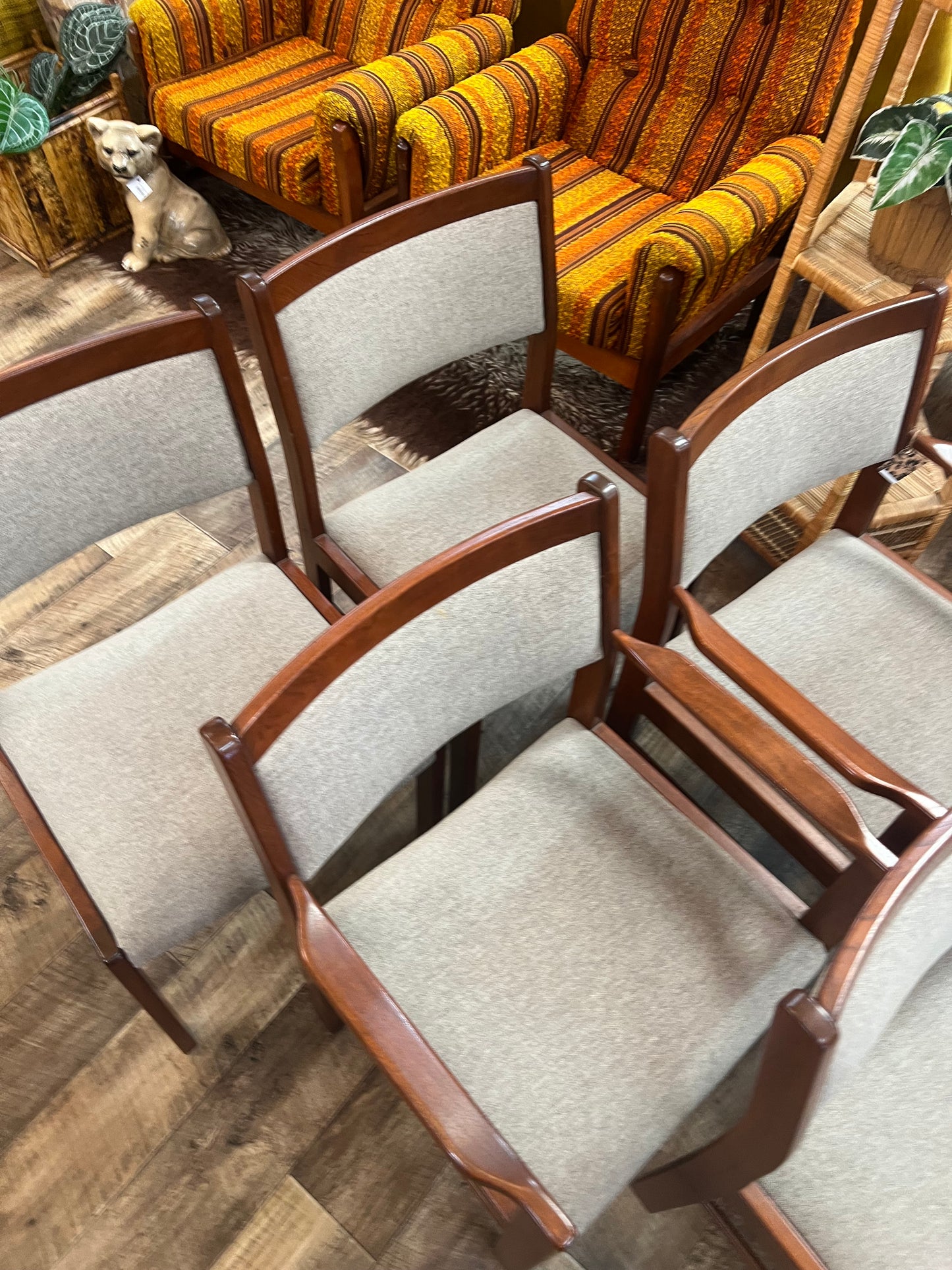Parker Mid Century Teak Dining Chairs – Set of 6 (2 Carvers + 4 Chairs)