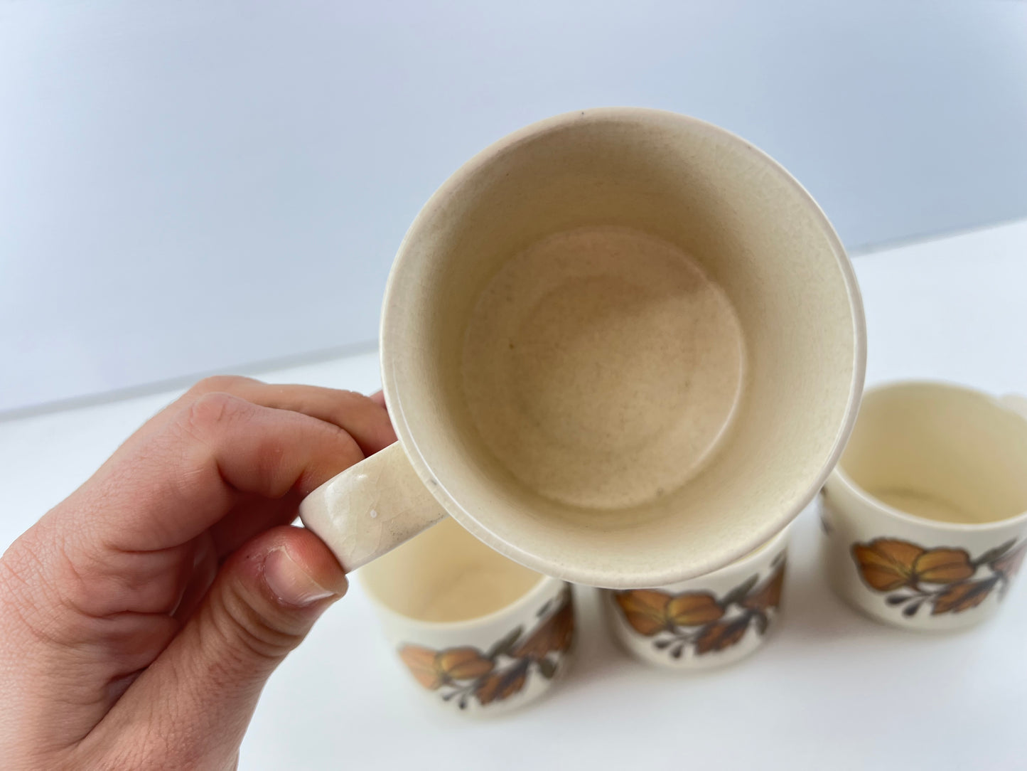 Royal Worcester Palissy Floral Mugs – Set of 4