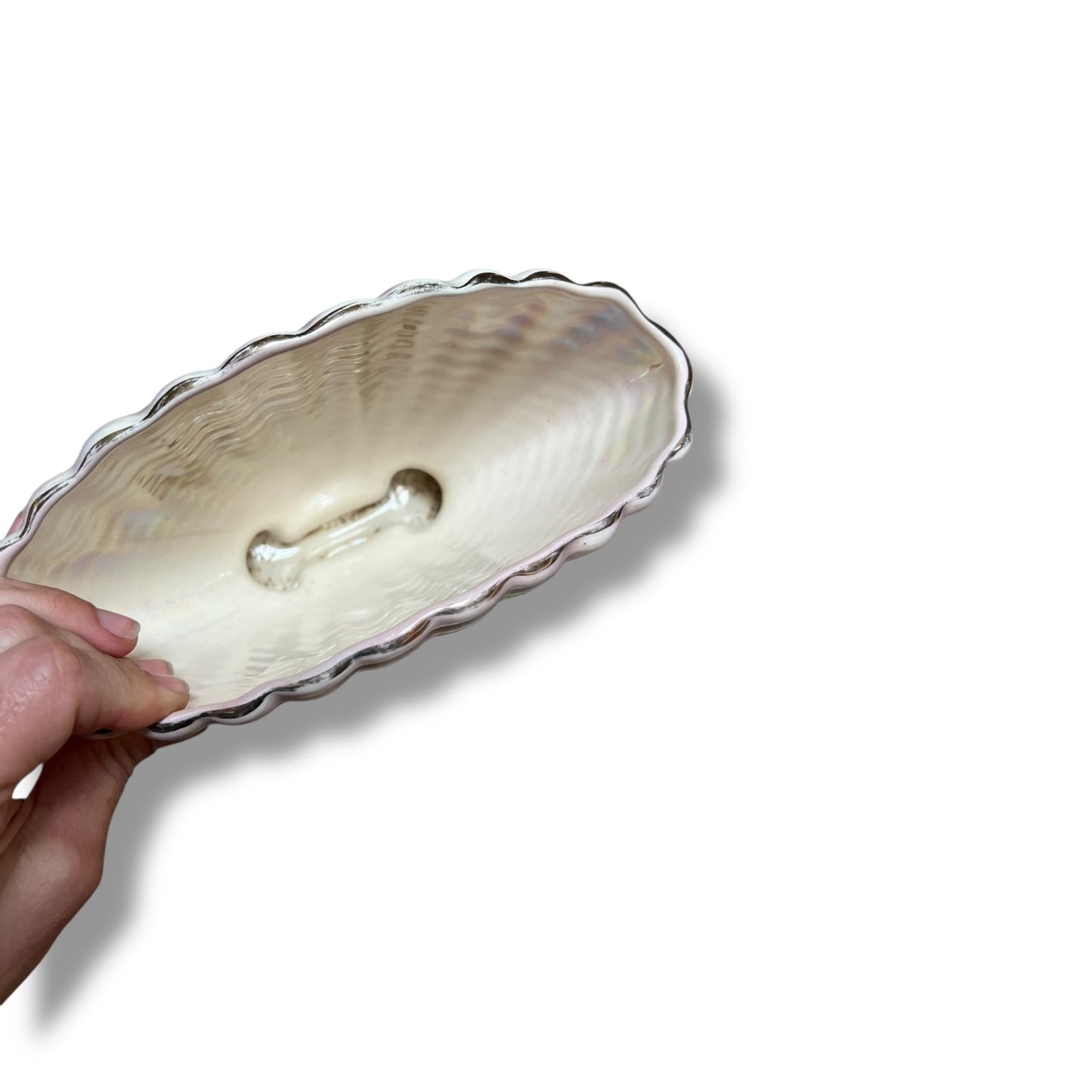 Iridescent Shell Vase