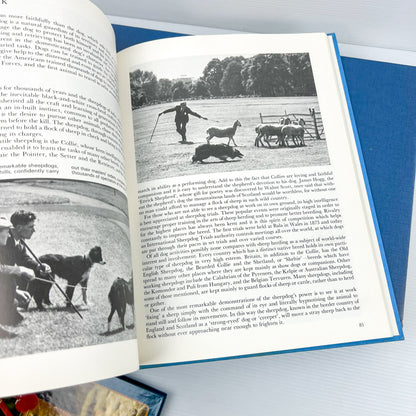 Blue Hard Cover Book Bundle