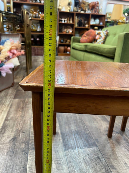Mid Century Nesting Table Set of 2