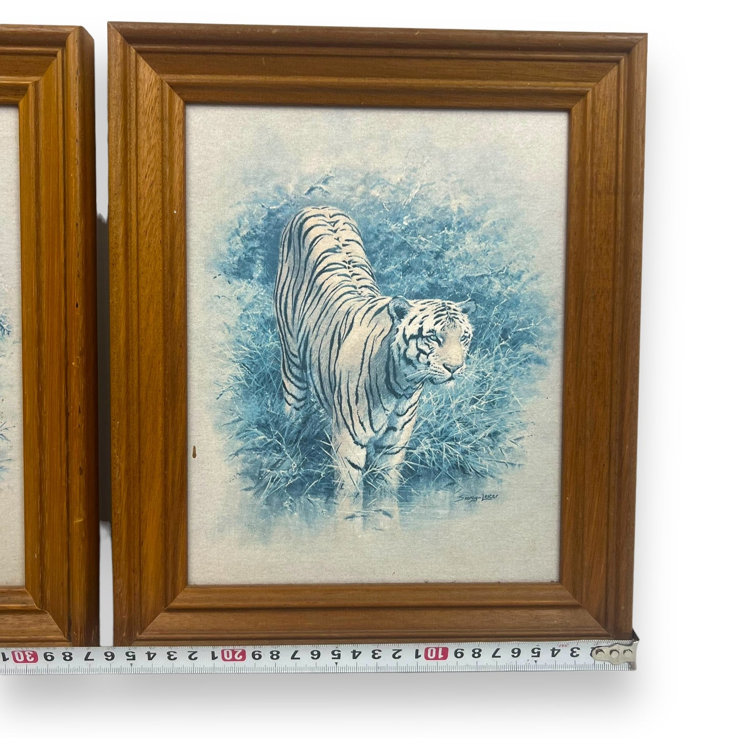 Lion & Tiger Print Set in wooden frame